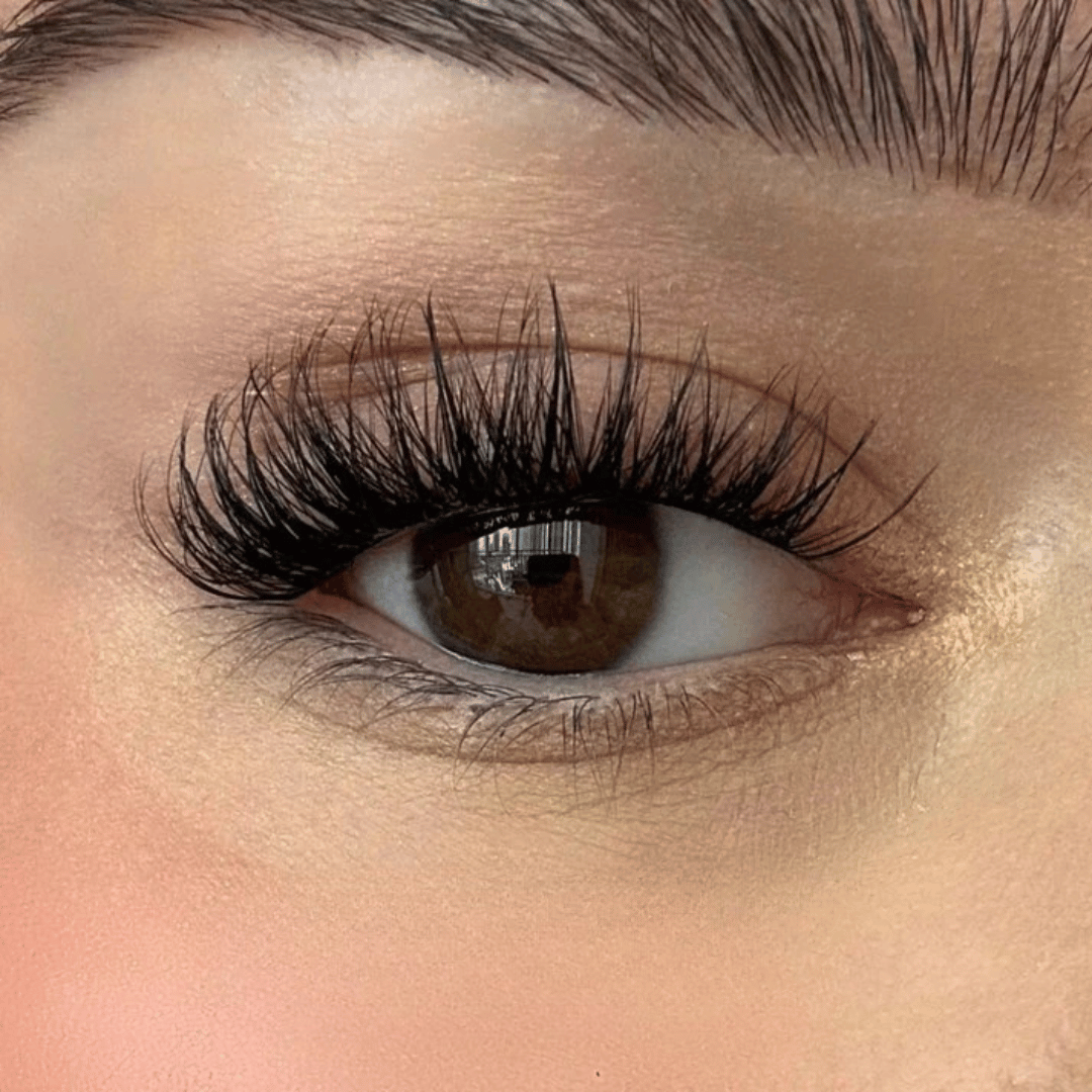 MyLashes eyelash extension kit